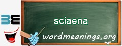 WordMeaning blackboard for sciaena